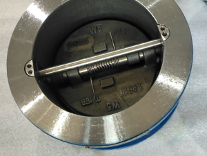 Dual Plate Check Valve 1